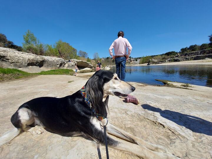 Sagi lying on smooth rocks by a river