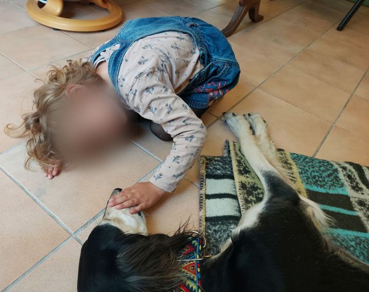 A child lying on the floor beside Sagi