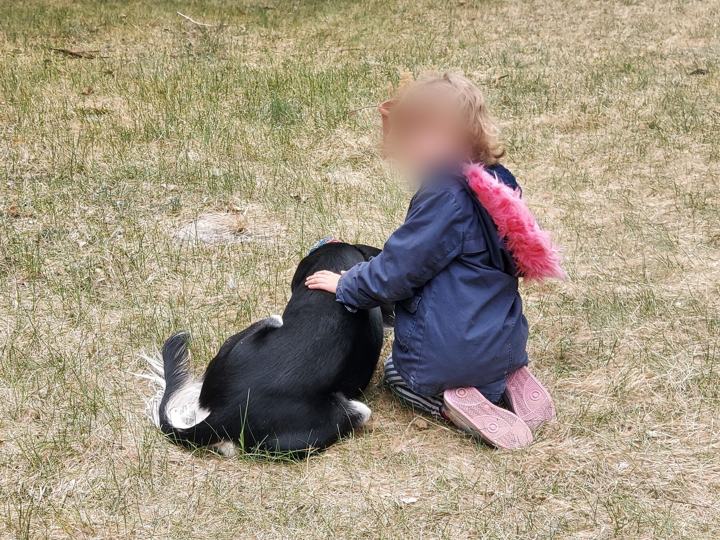 A small child kneeling beside Sagi in the grass