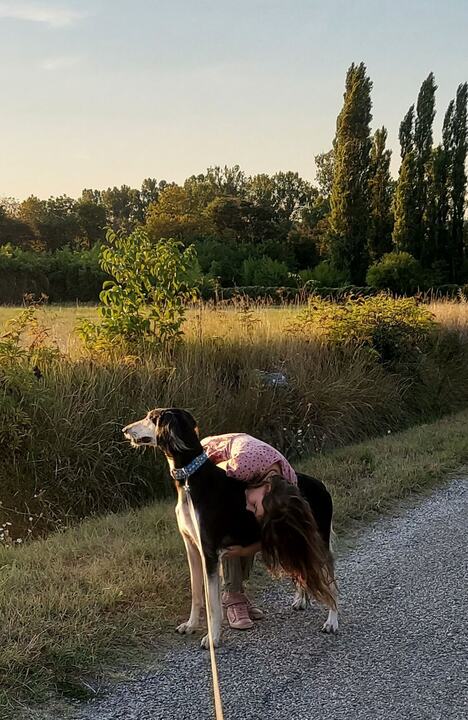 A girl leaning over Sagi's back on a gravel track at sunset