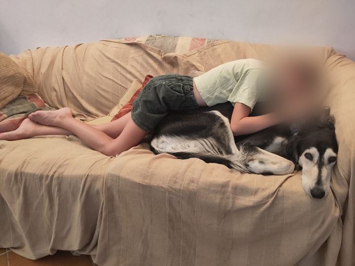 A child asleep on the sofa with Sagi
